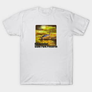 Rockefeller State Park Preserve, New York T-Shirt